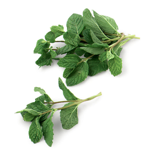 Organic Mint (approx. 4oz)